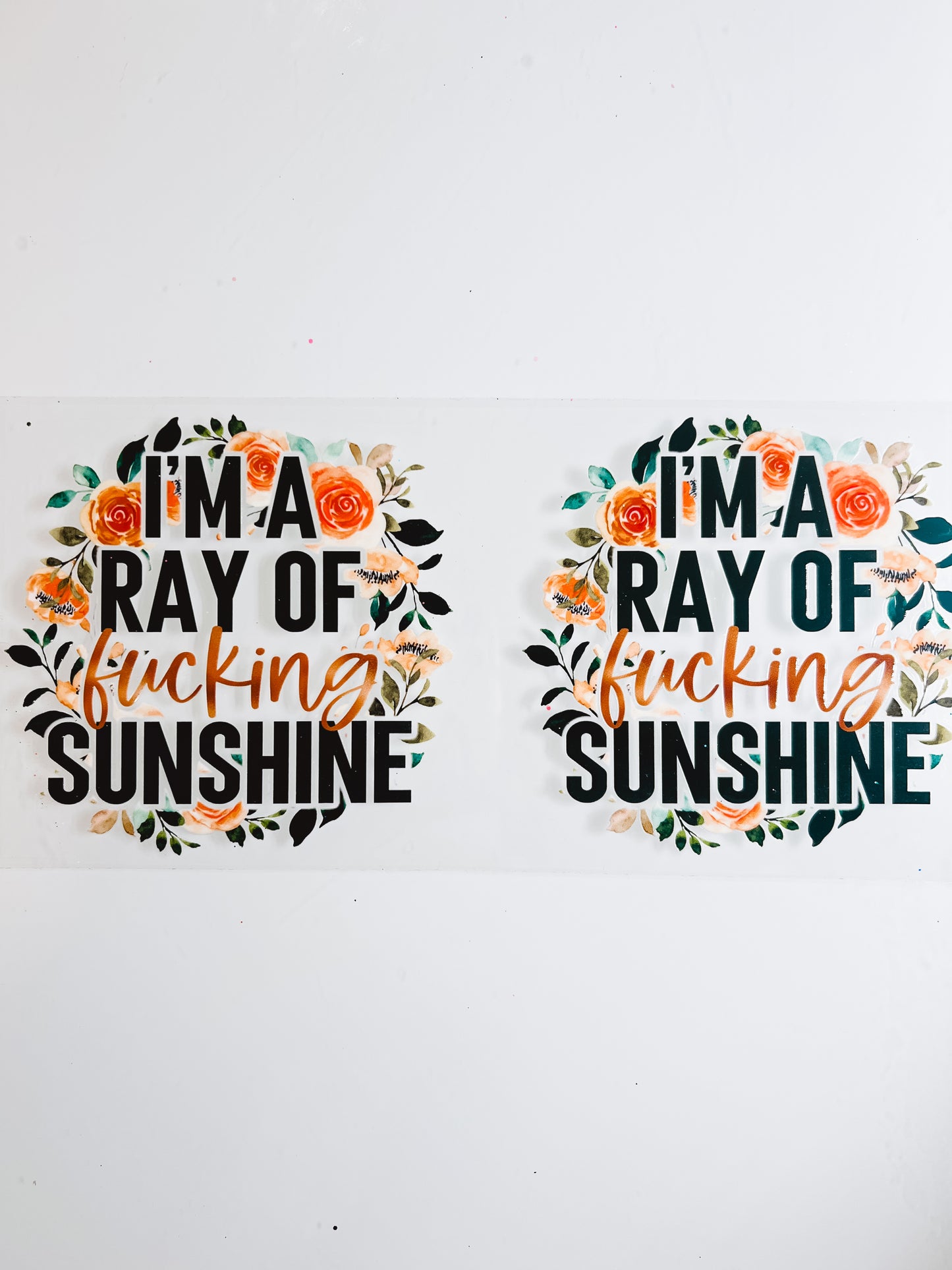 #927-Ray of Effing Sunshine