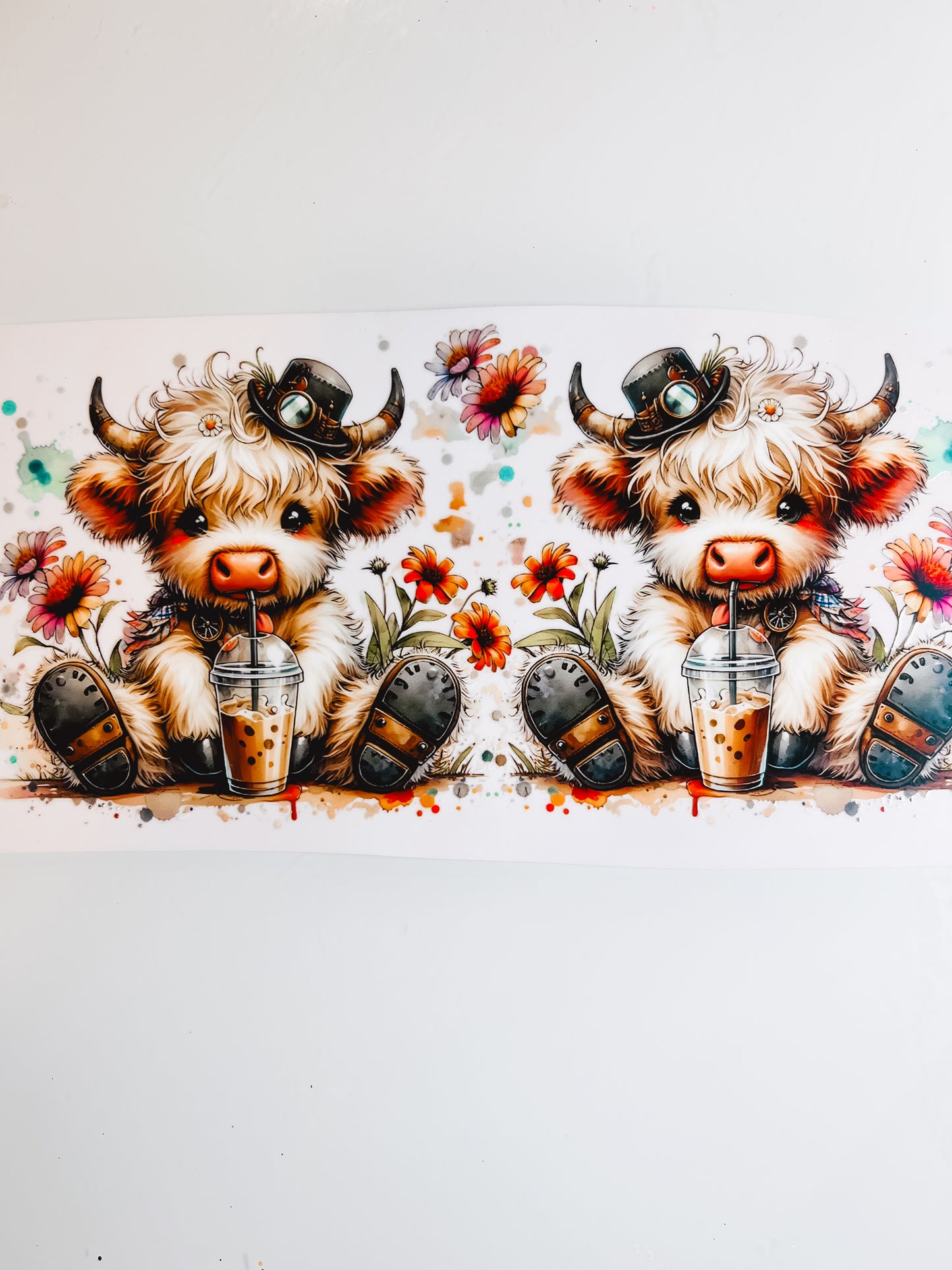 #906-Cows