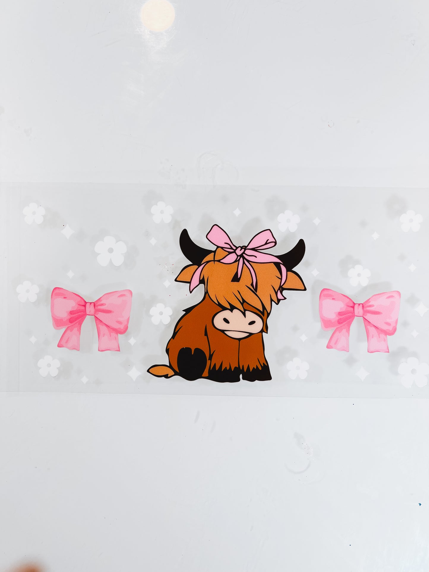 #458 - Highland Cows