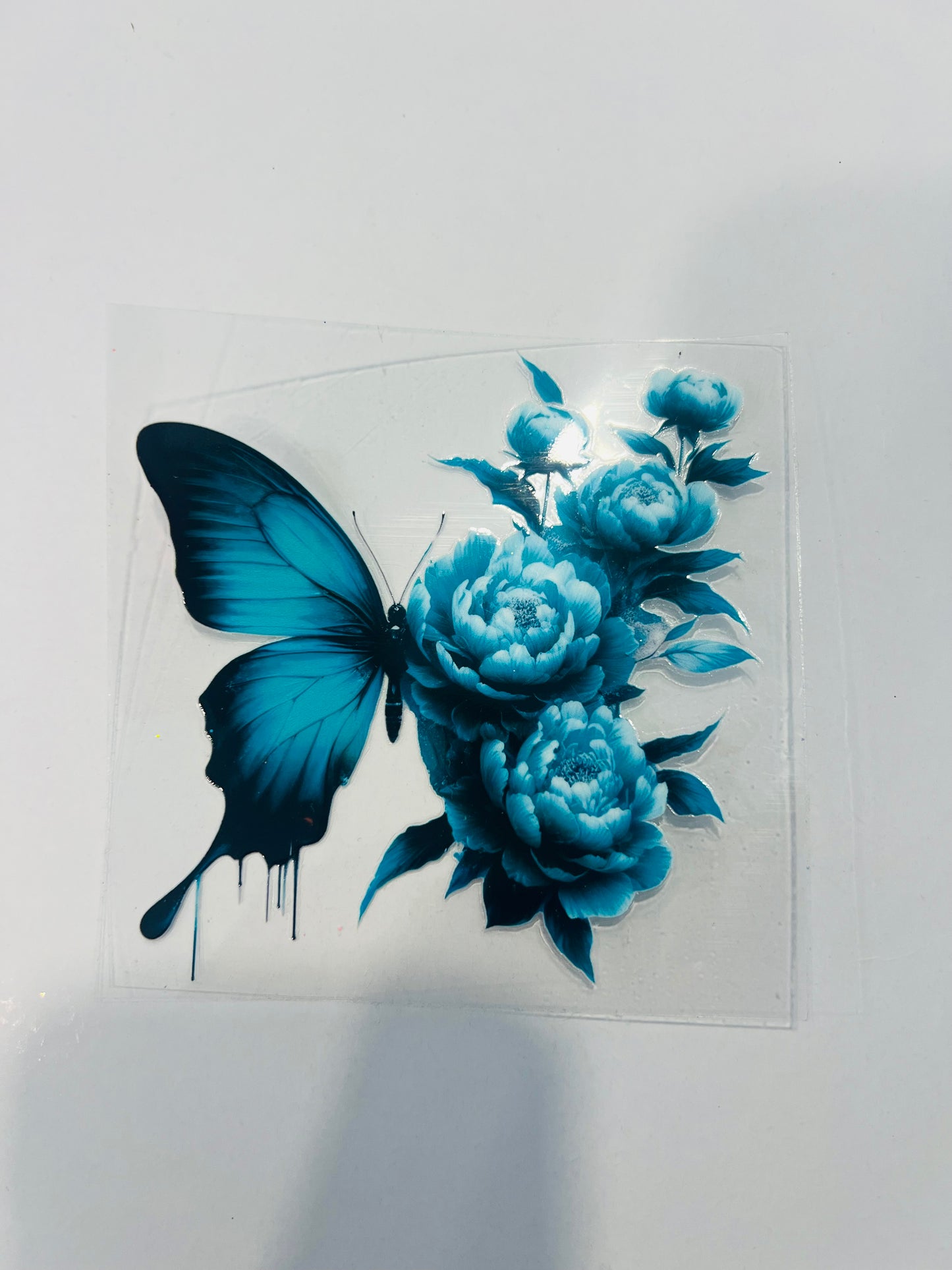 2182-Butterfly