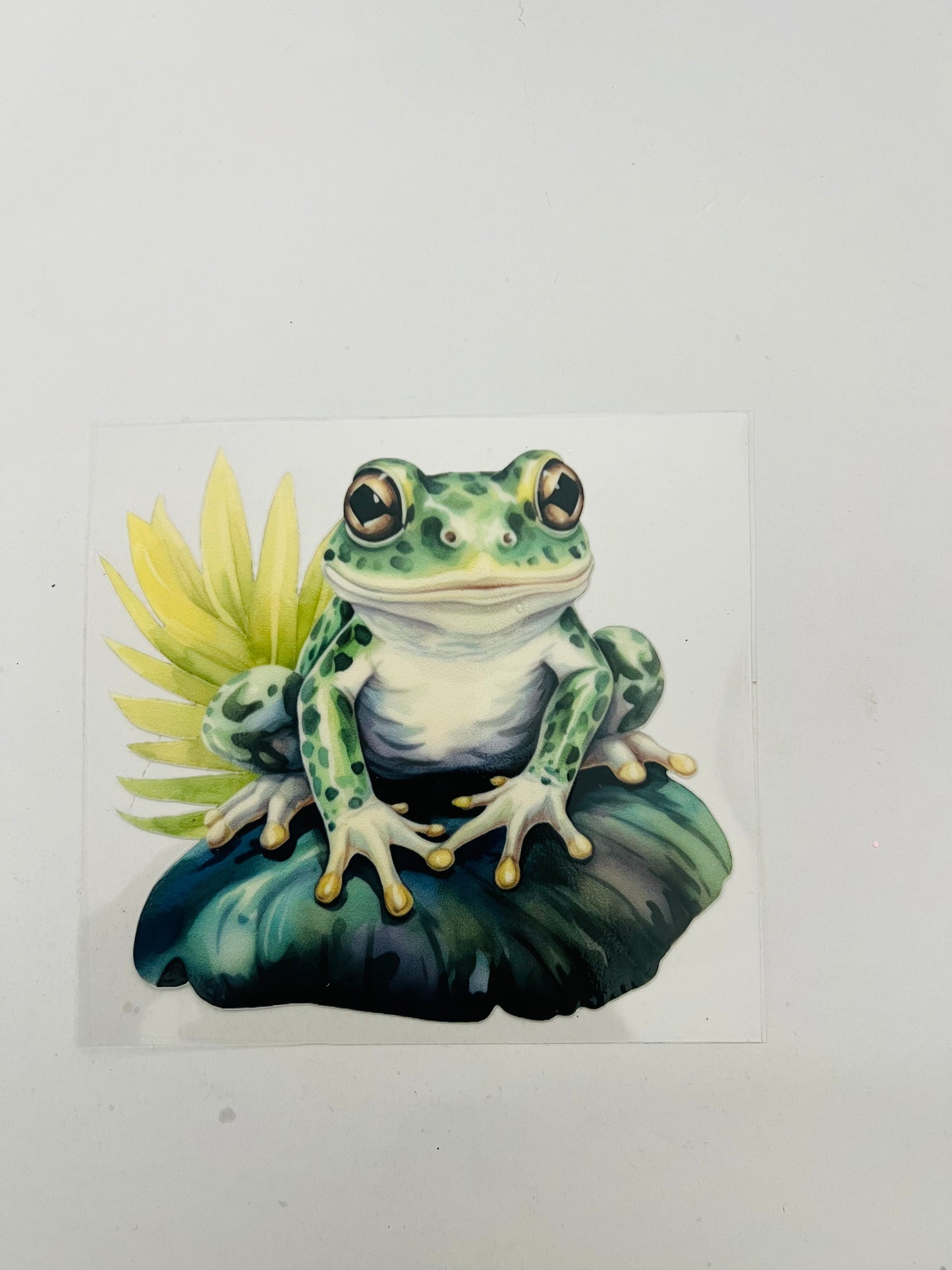 2351-Frog