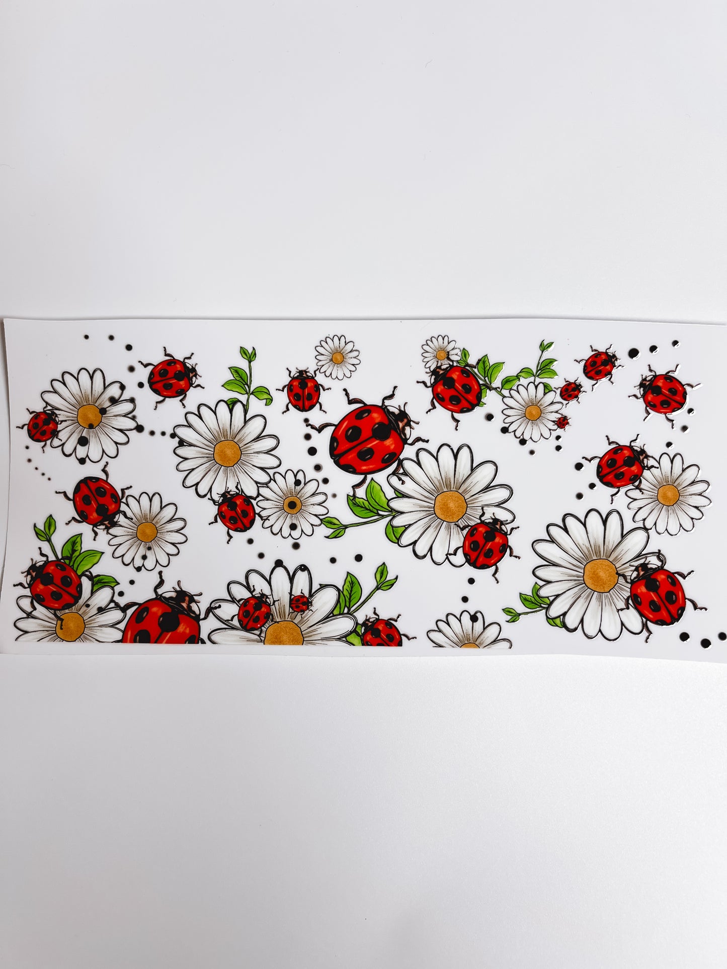 2006-Flowers & Lady Bugs