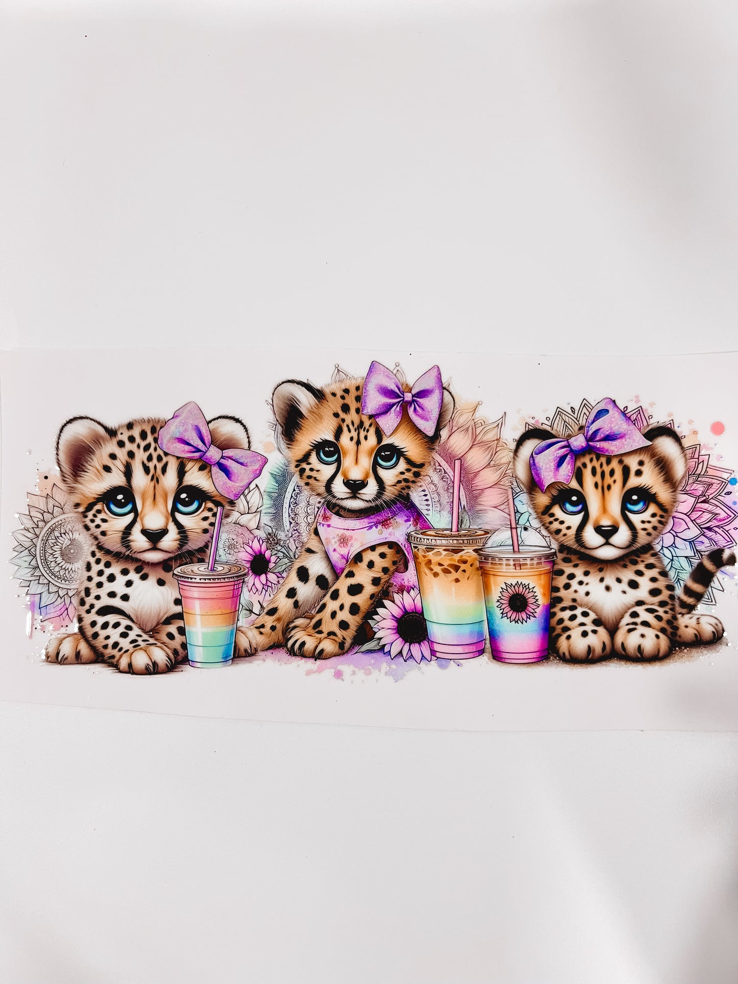 #987-Baby Leopards