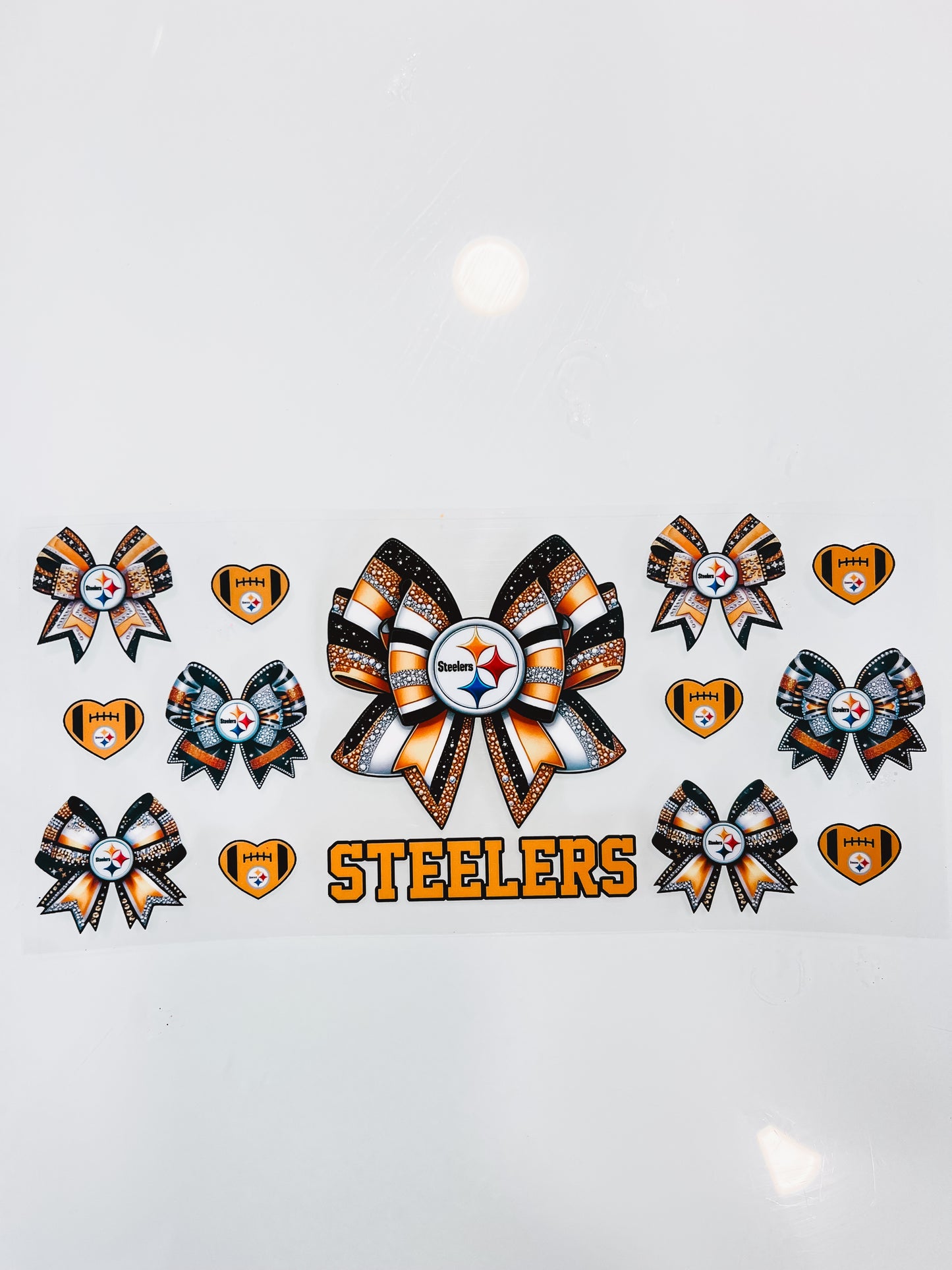 #491 - Steelers