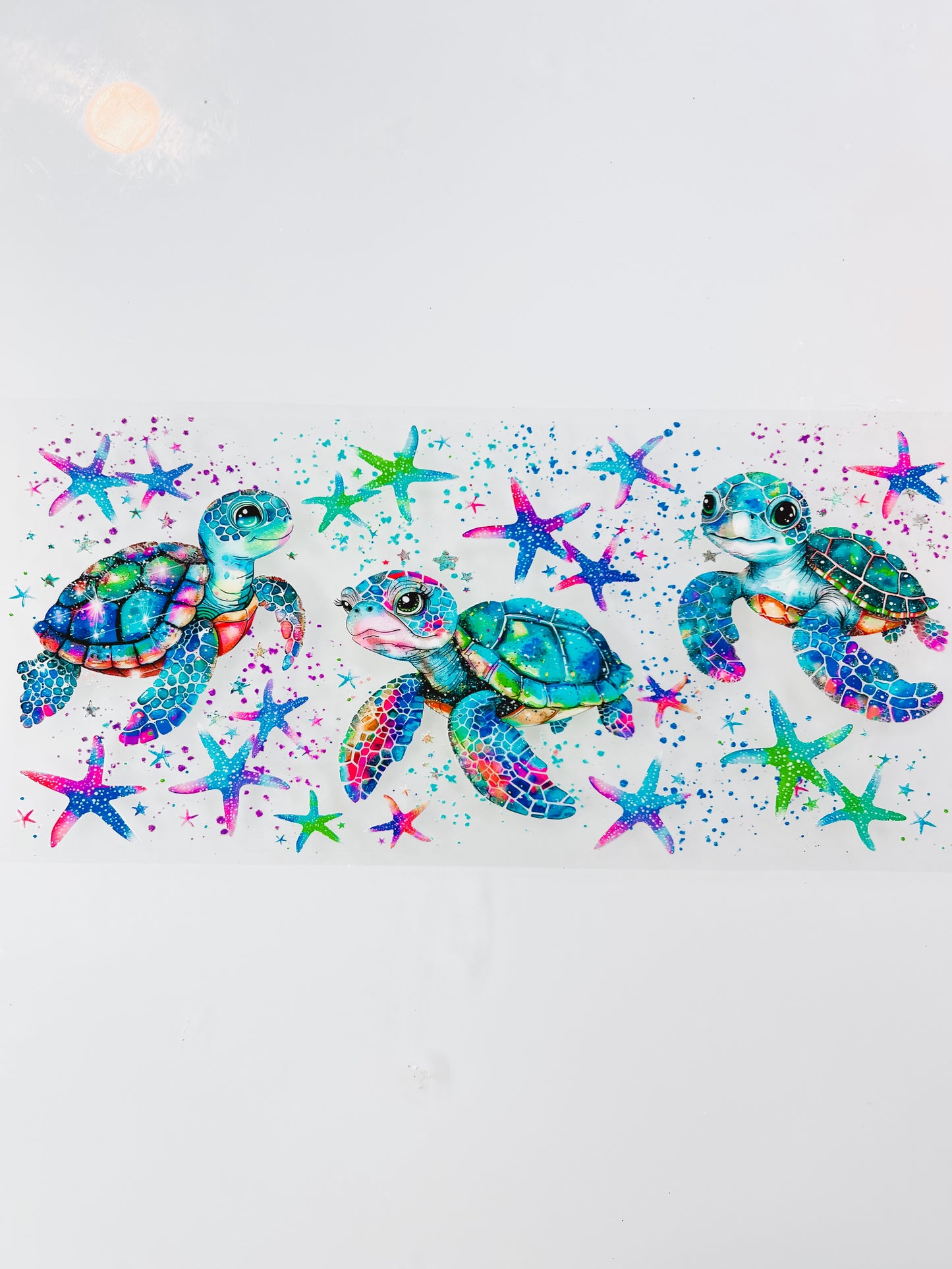 #367 - Turtles