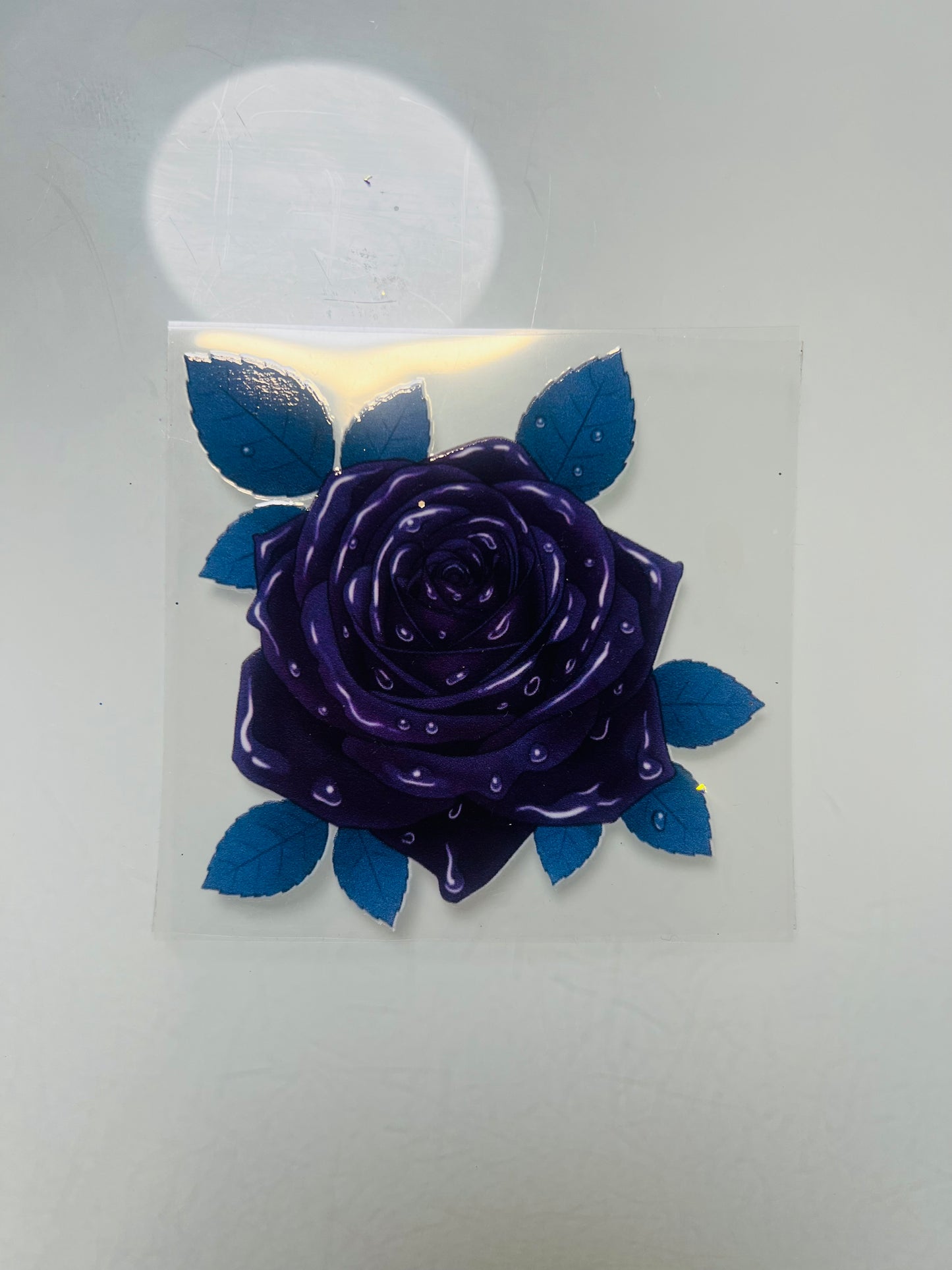 3143-Wet Rose