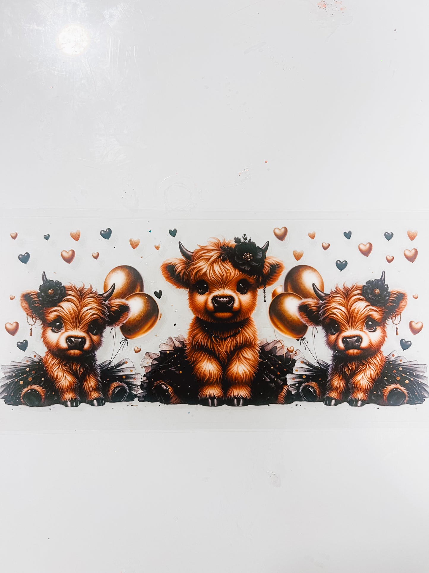 #325 - Highland Cows