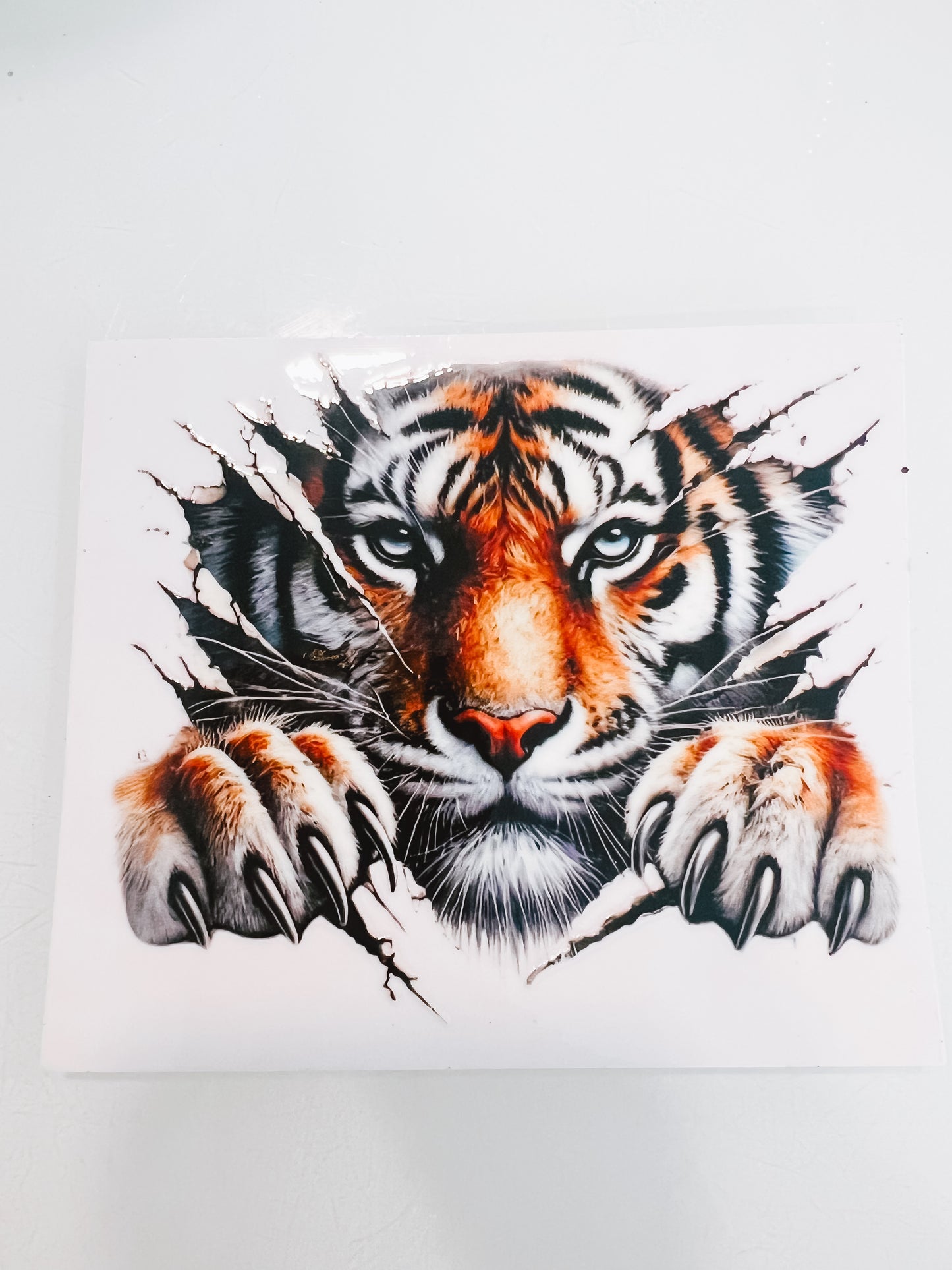 #2131-Tiger