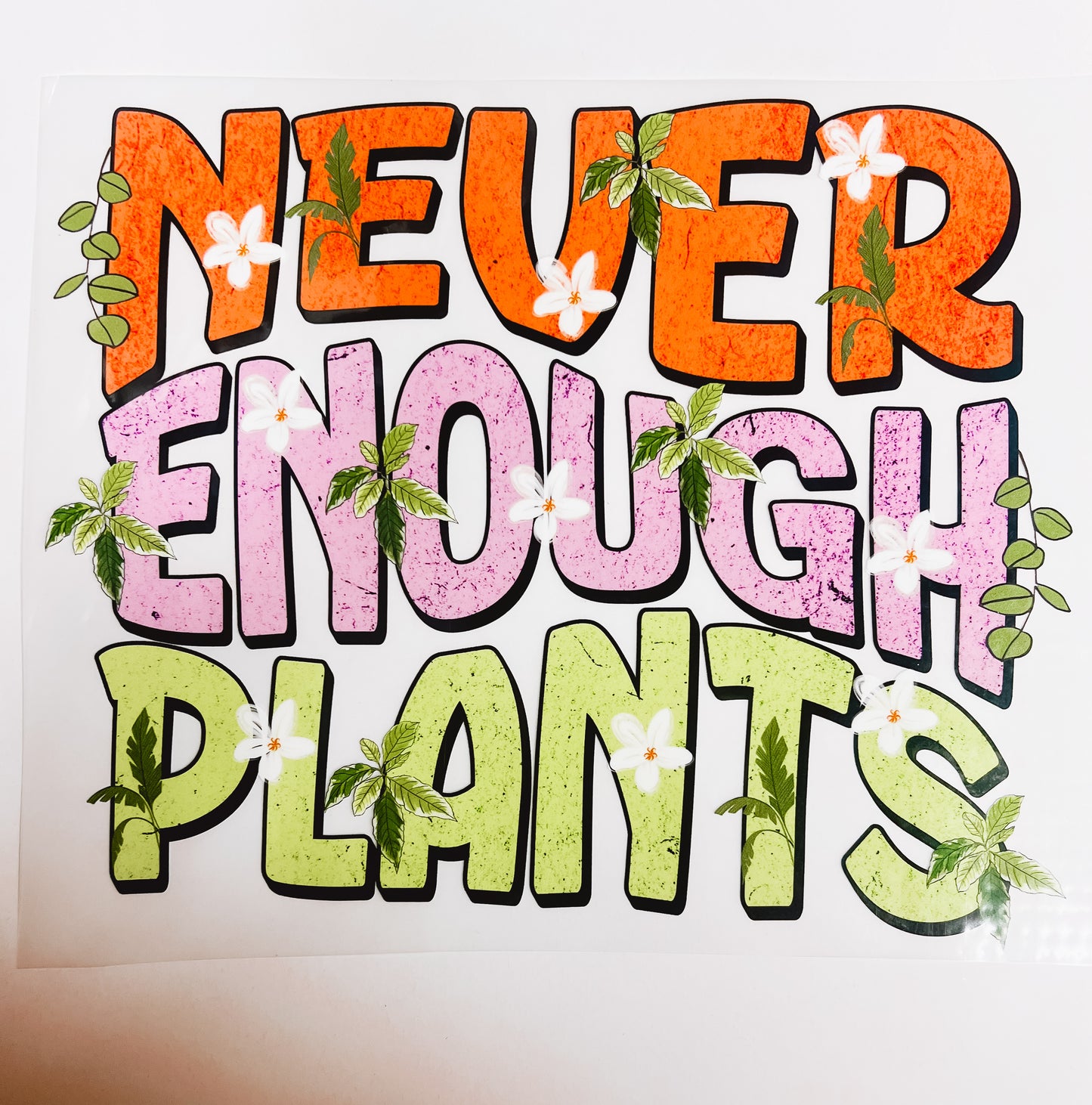 #222-Never Enough Planta