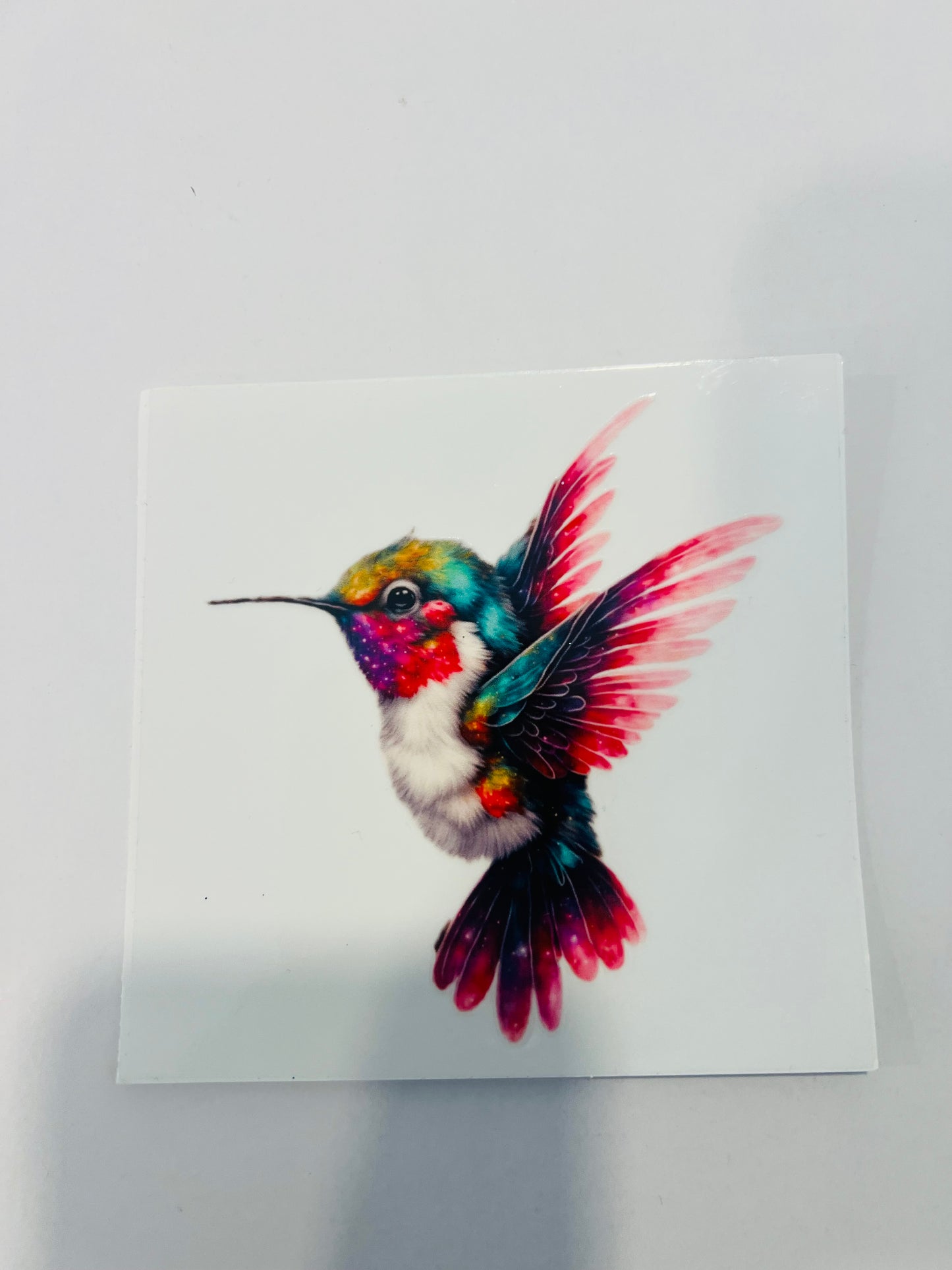 2183-Hummingbird