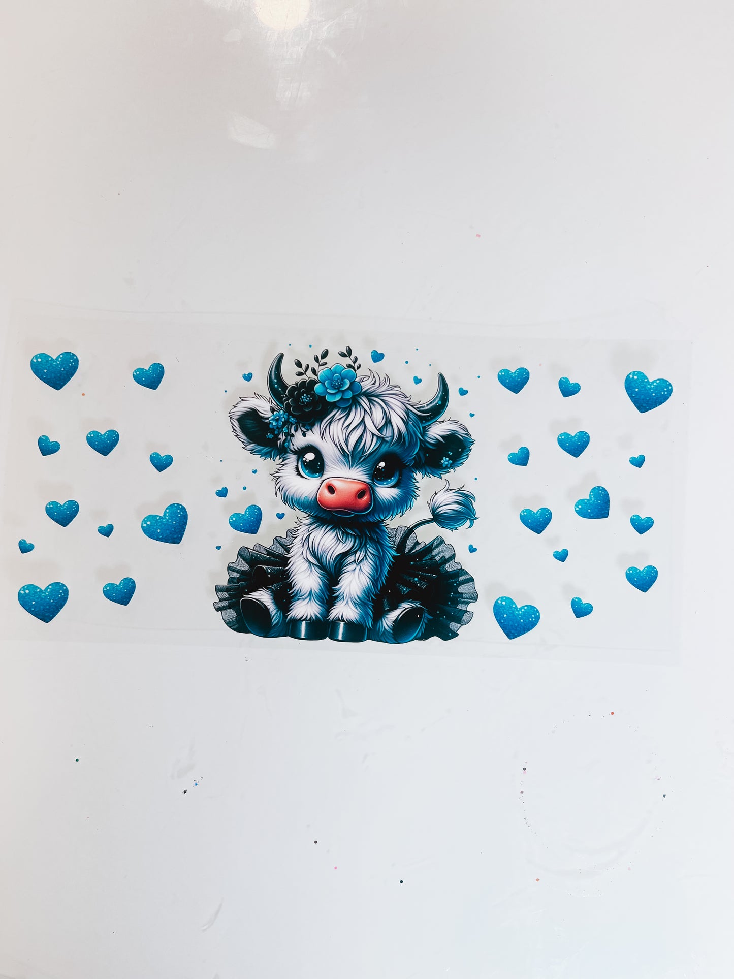 #582 - Highland Cows