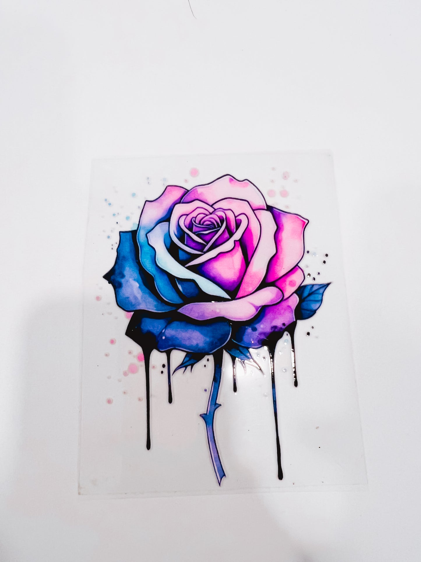 2943-Colorful Drip Rose