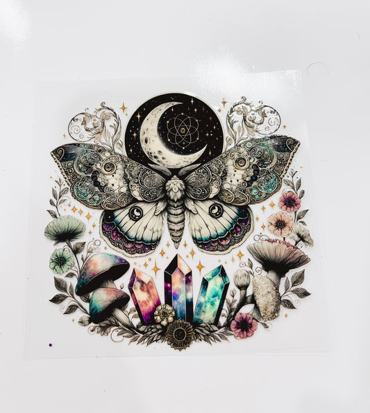 2445-Midnight Moth