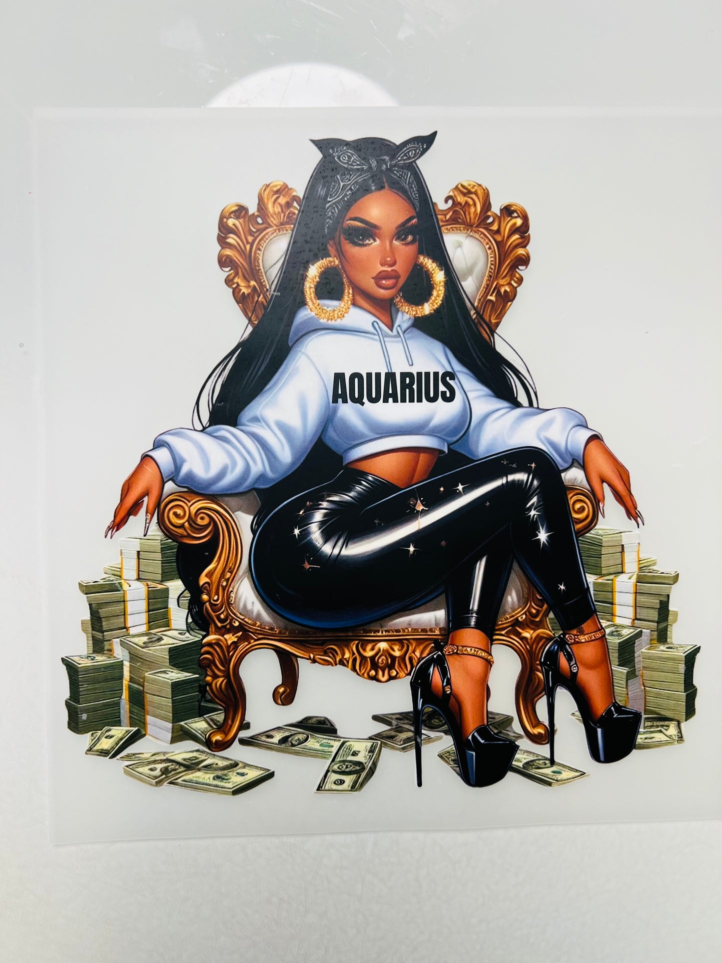 788-Aquarius Money Girl