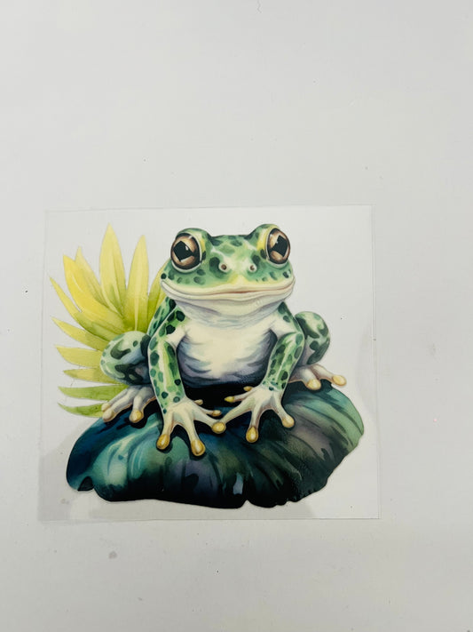 2351-Frog