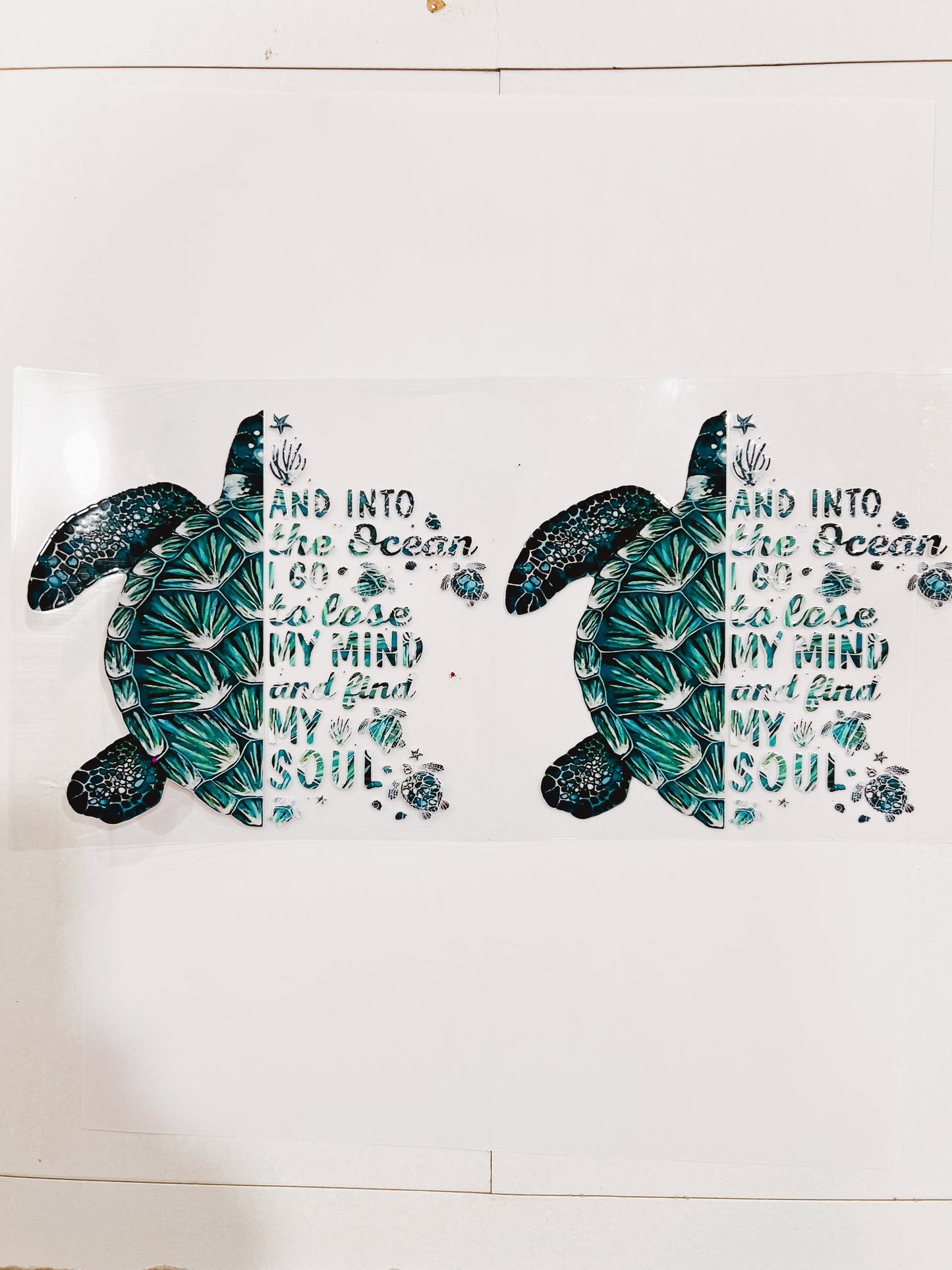 2830-Turtle