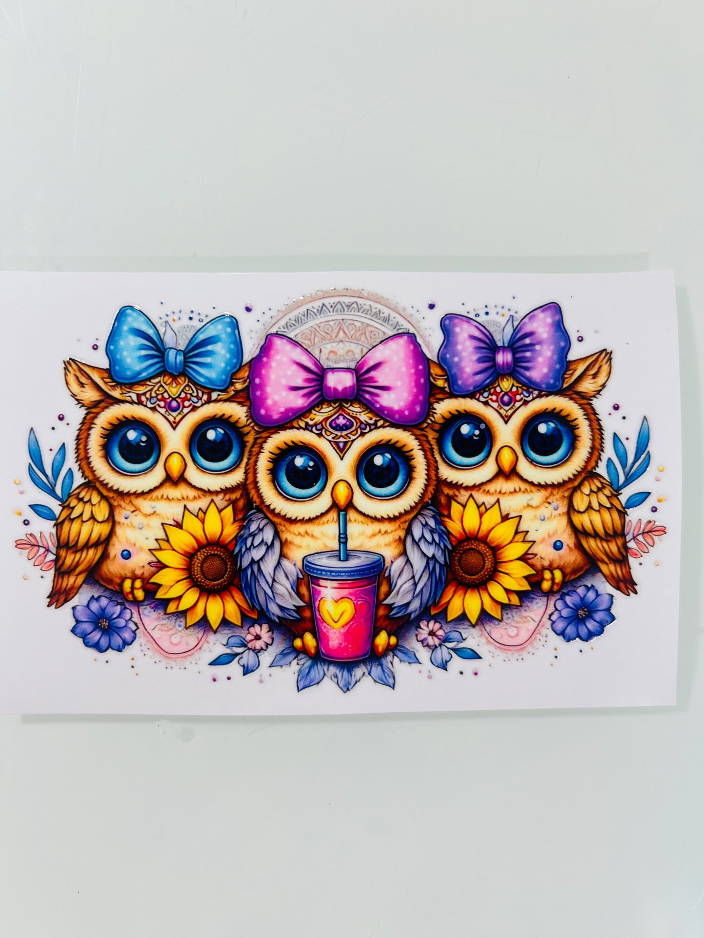 #542 - Owls