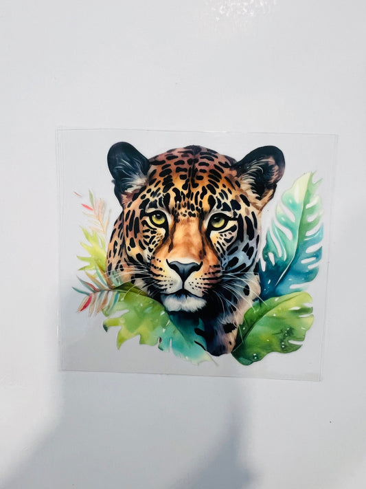 2194-Monstera Cheetah