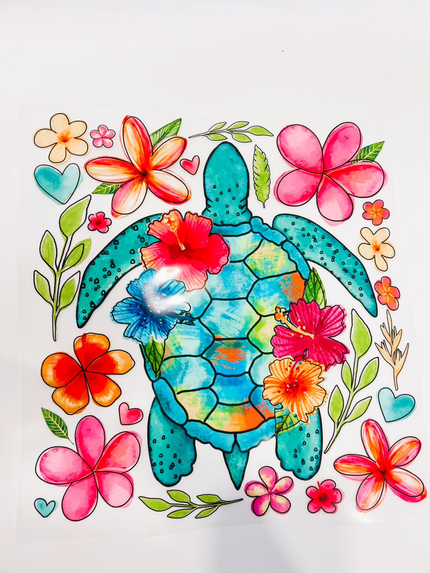 59-Colorful Turtle