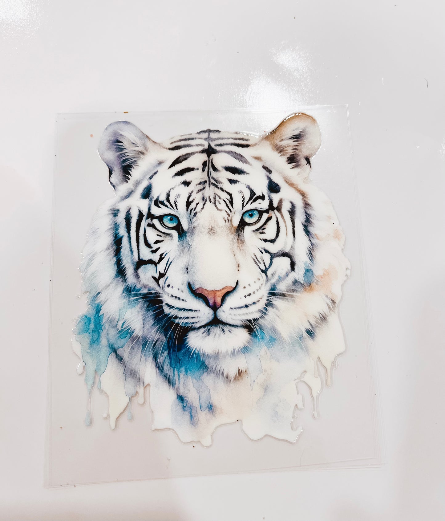 2477-White Tiger