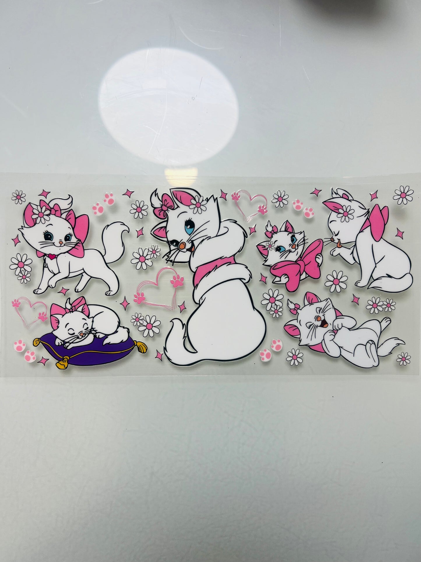 3062-Marie Cat
