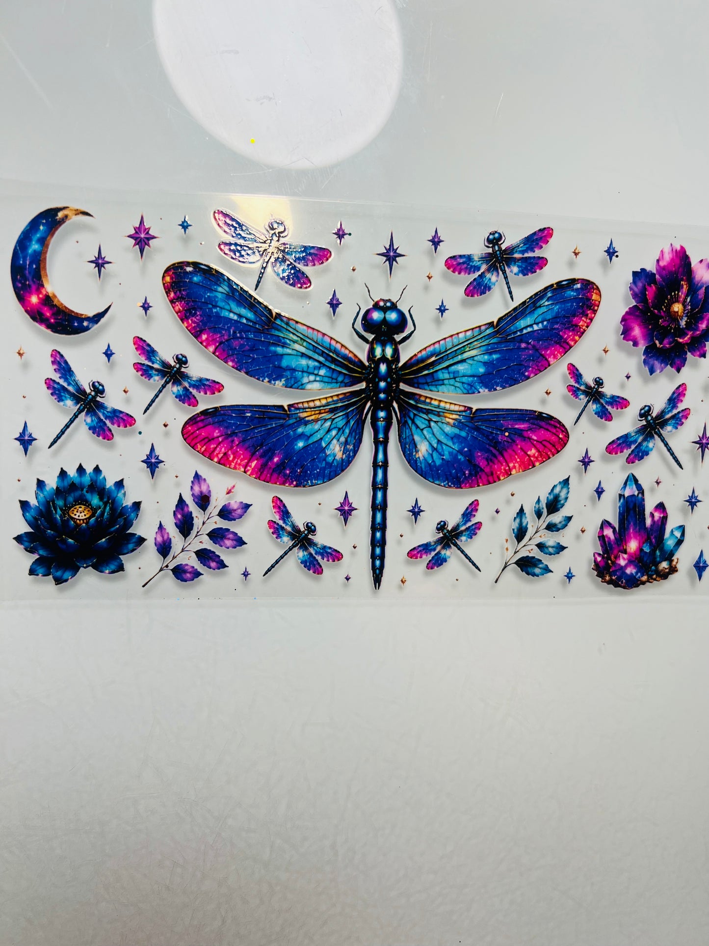 3231-Dragonfly