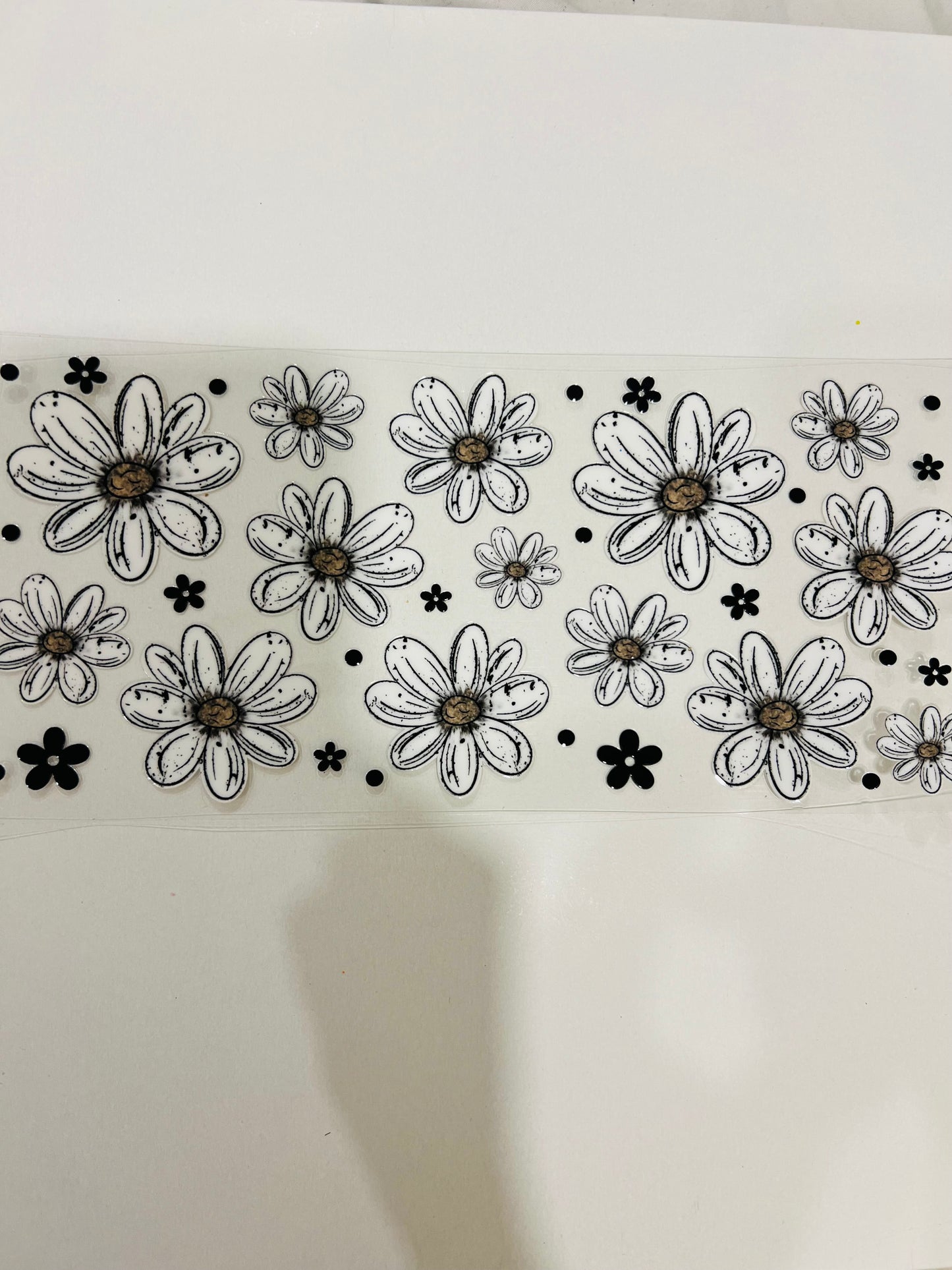 2719-Daisies