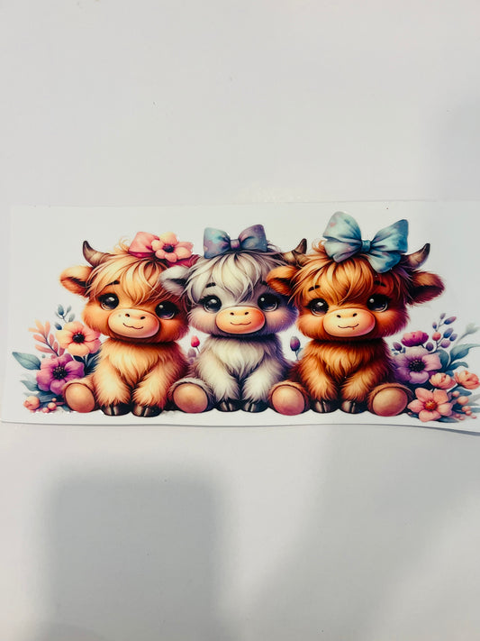 2214-Cows