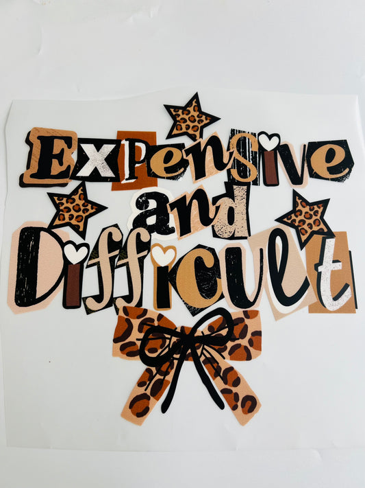 613-Expensive and Difficult
