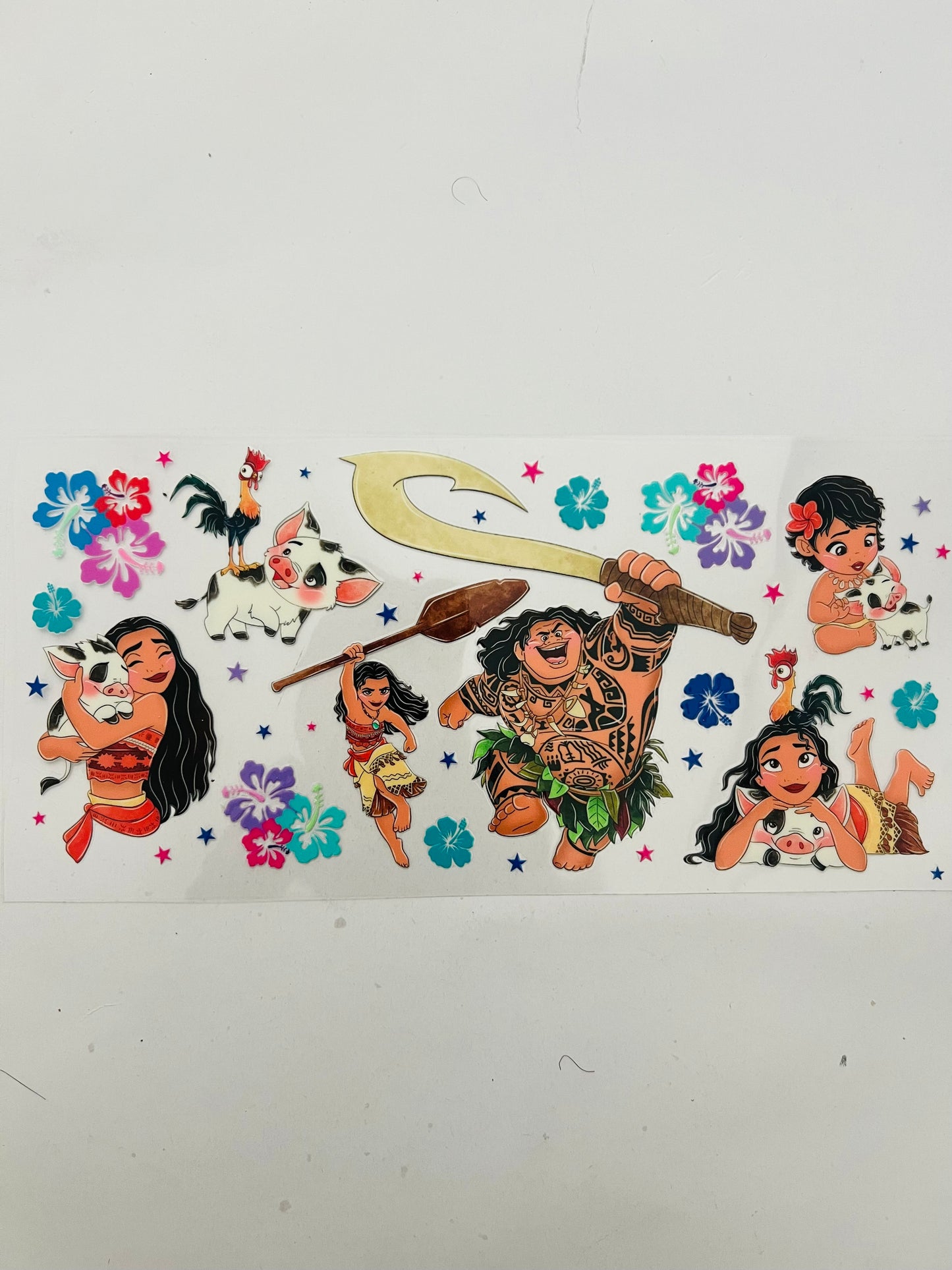 2419-Moana
