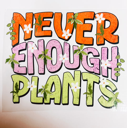 #222-Never Enough Planta