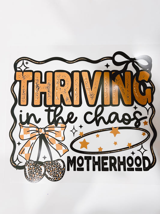 459-Thriving in Chaos