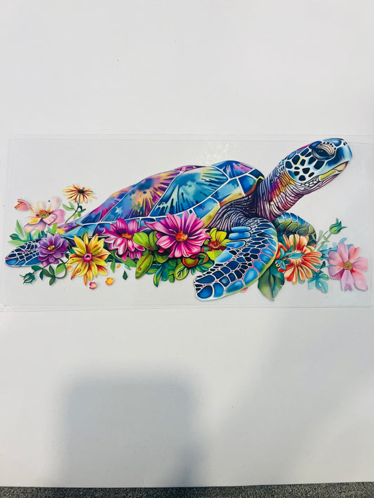 2187-Turtle