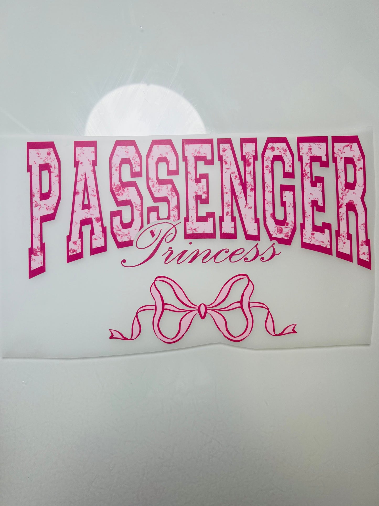 740-Passenger Princess