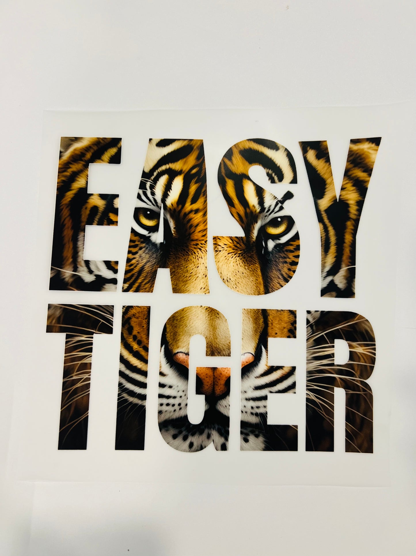 537-Easy Tiger