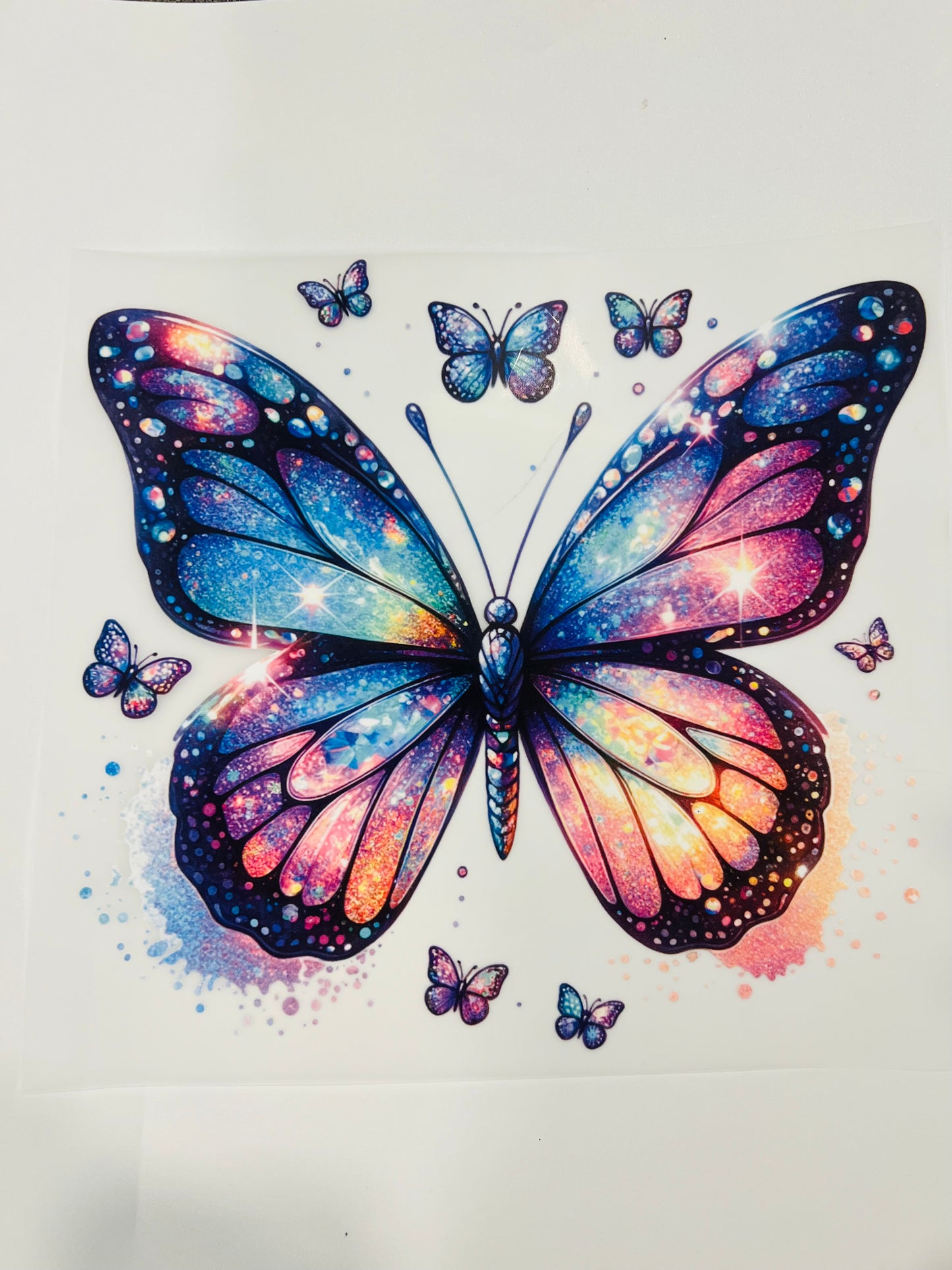 559-Colorful Butterfly